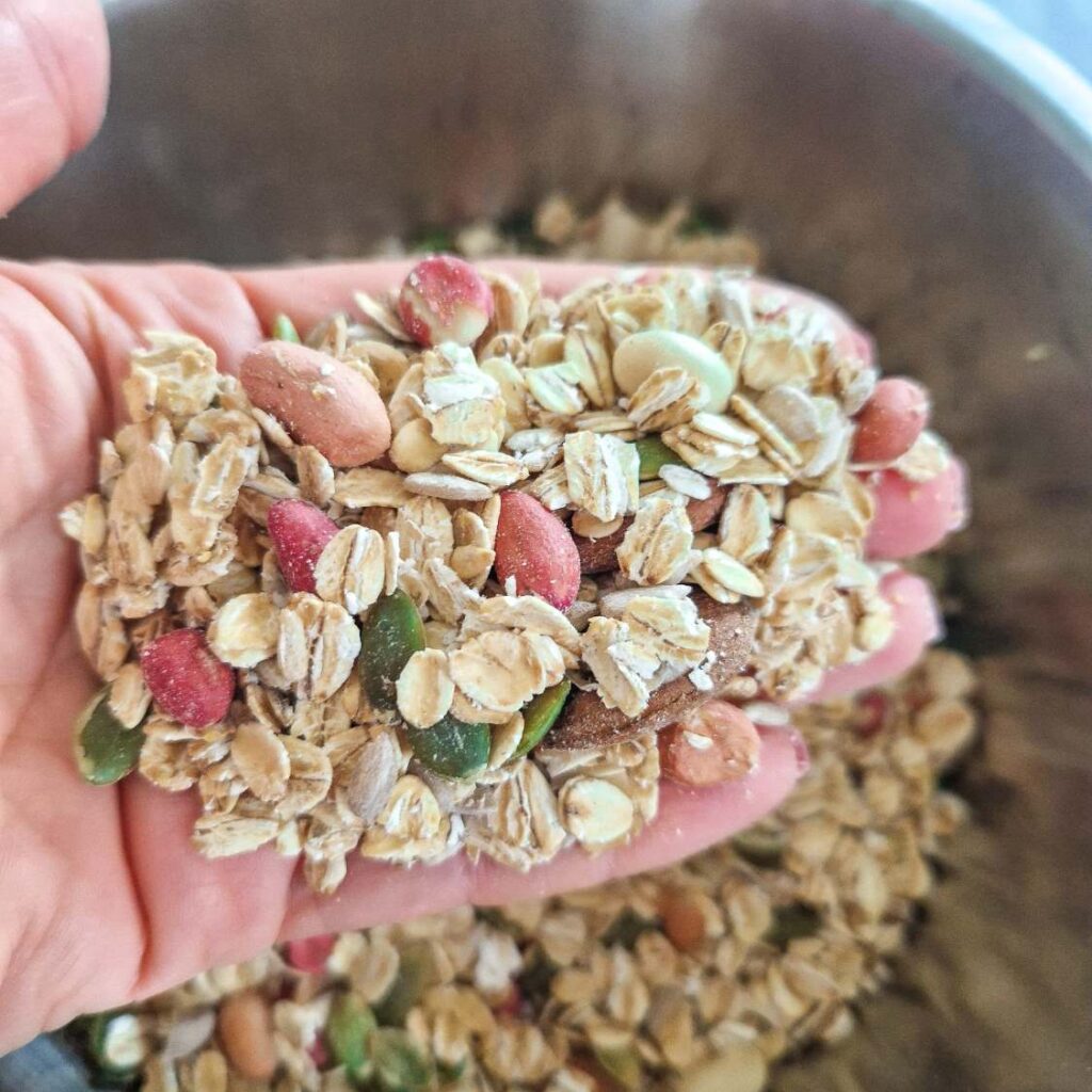 Amestec uscat pentru granola de casa