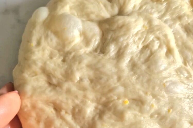 Aluat versatil de post, dospit unde se vede textura neteda si moale, bule de aer